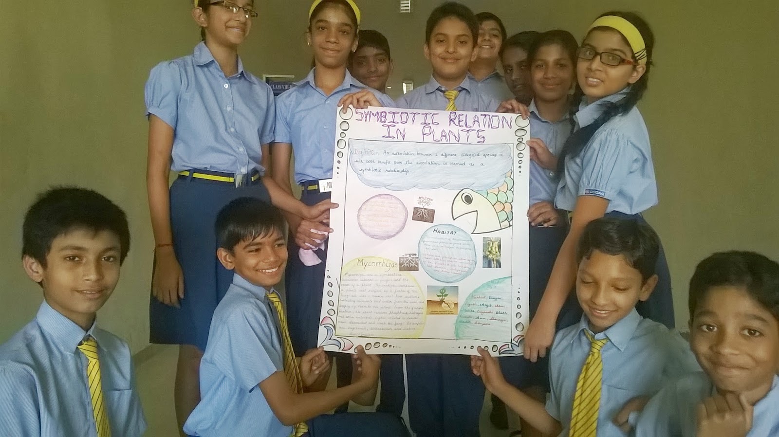 STARS OF PIS AHMEDABAD STD VII: SCIENCE PROJECT: "PLANT ...