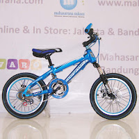 16 sepeda gunung anak evergreen