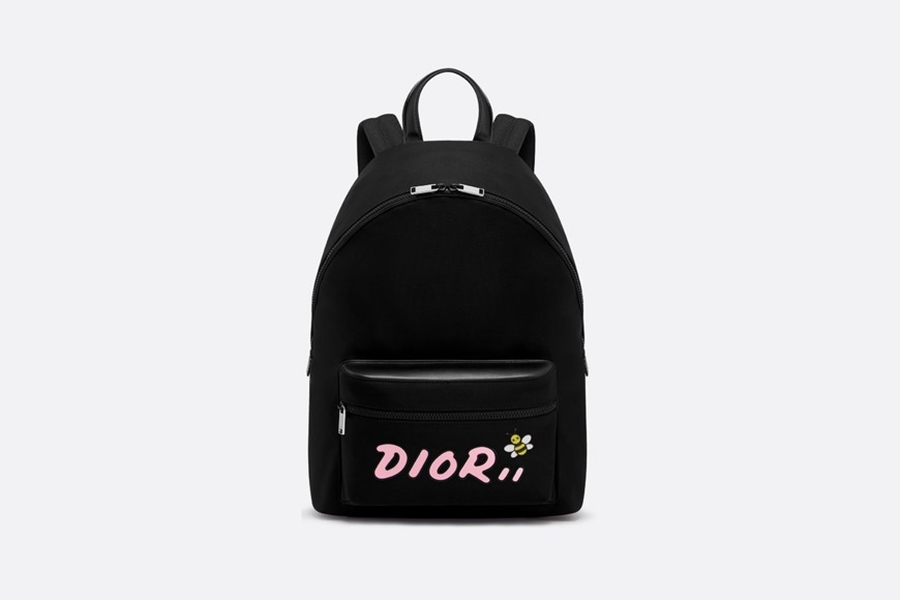 kaws x dior homme