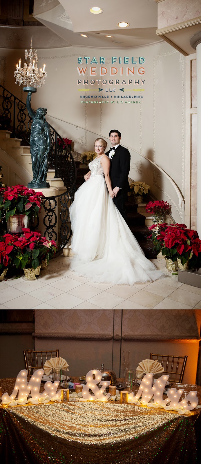 Liz Warnek Photography Phoenixville Wedding Photographer Brittany and Brad's New Years