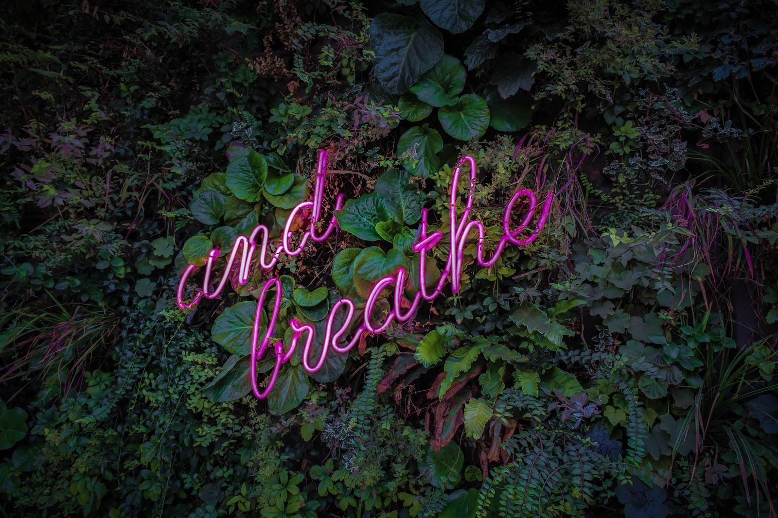 And Breathe neon sign