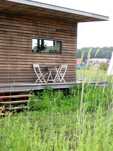 Casa in legno perfetta vero falso 4