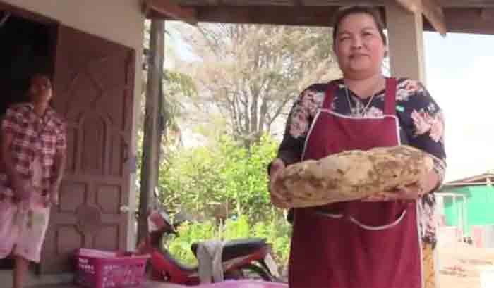 Ambergris Woman finds lump of precious whale vomit ambergris worth around 2 crore in Thailand, Thailand, News, Local News, Woman, Sea, World