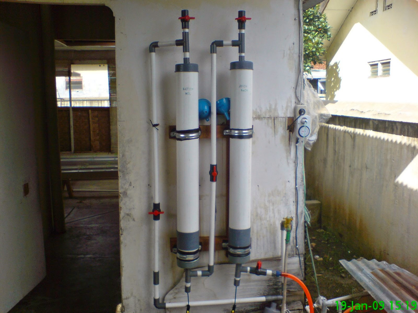 Panduan Bertanam Hidroponik: Cara Menanam Melon Hidroponik