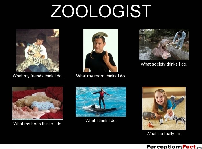 Through the Eyes of a Zoologist Being a Zoologist