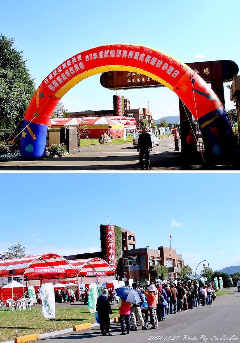 桃園農業改良場台北分場|佳園路農改場|北大特區樹林花海|行政院農業委員會桃園區農業改良場台北分場|三峽北大波斯菊花海|北大農改場|米漢堡、米餅DIY活動
