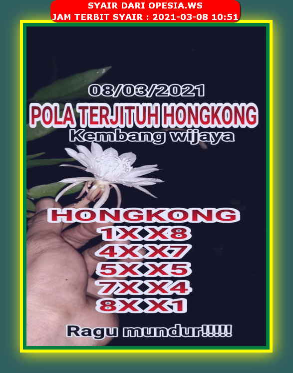 forum syair hk Meloditogel
