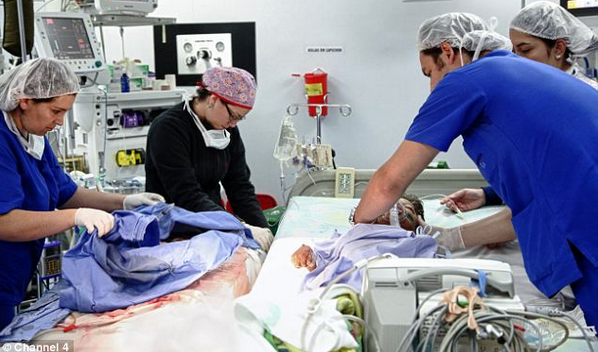 Το παιδί χελώνα The turtle child