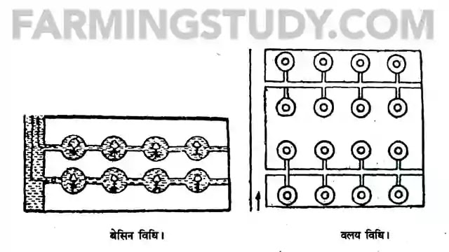 सिंचाई किसे कहते हैं, सिंचाई की परिभाषा, irrigation in hindi, methods of irrigation in hindi, सिंचाई की प्रमुख विधियां, सिंचाई के प्रकार, farmingstudy