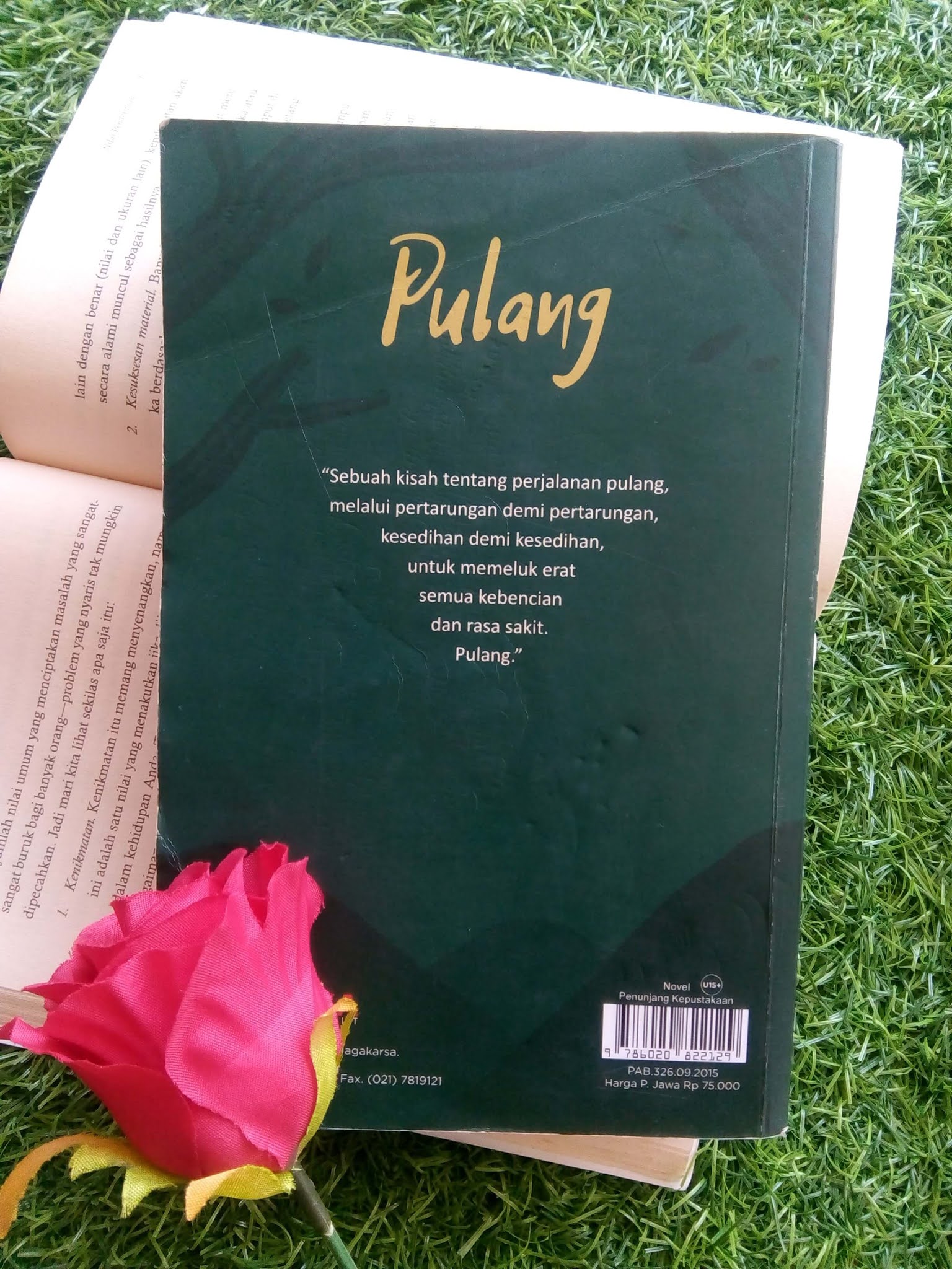 Review Novel Pulang Tere Liye - Shofwhere.com