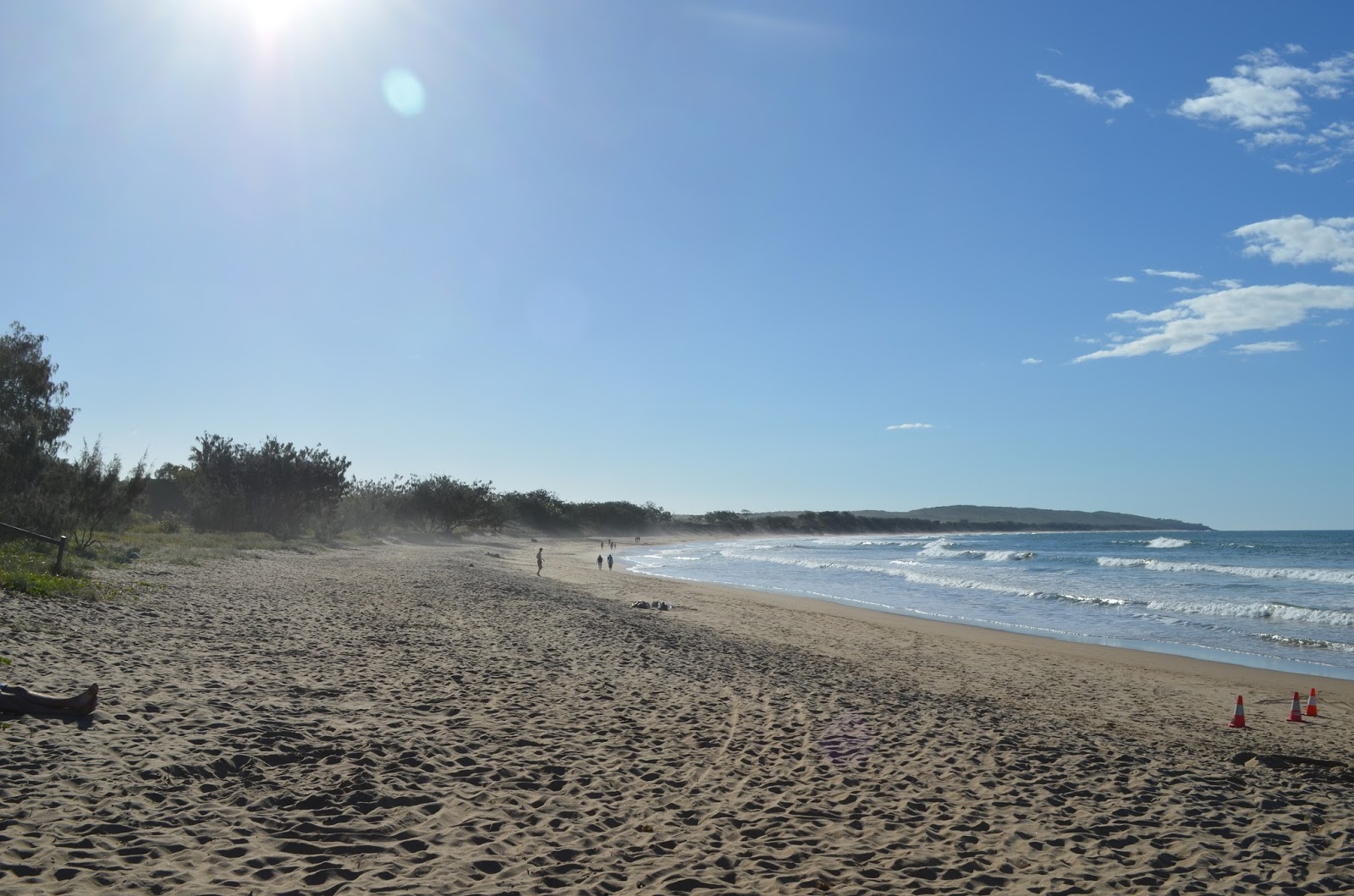 Drink The Wild Air Agnes Waters