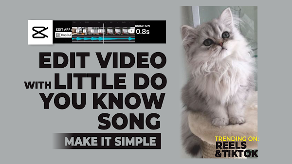 How to Make Little Do You Know Reels and TikTok using the CapCut App How to Make Little Do You Know Reels and TikTok using the CapCut App
