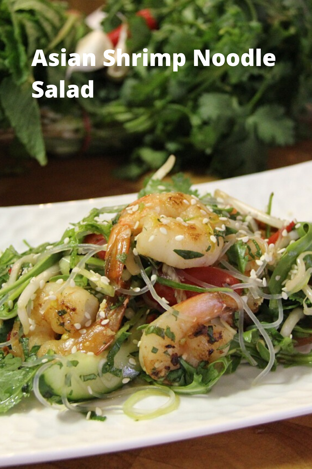 Asian Shrimp Noodle Salad