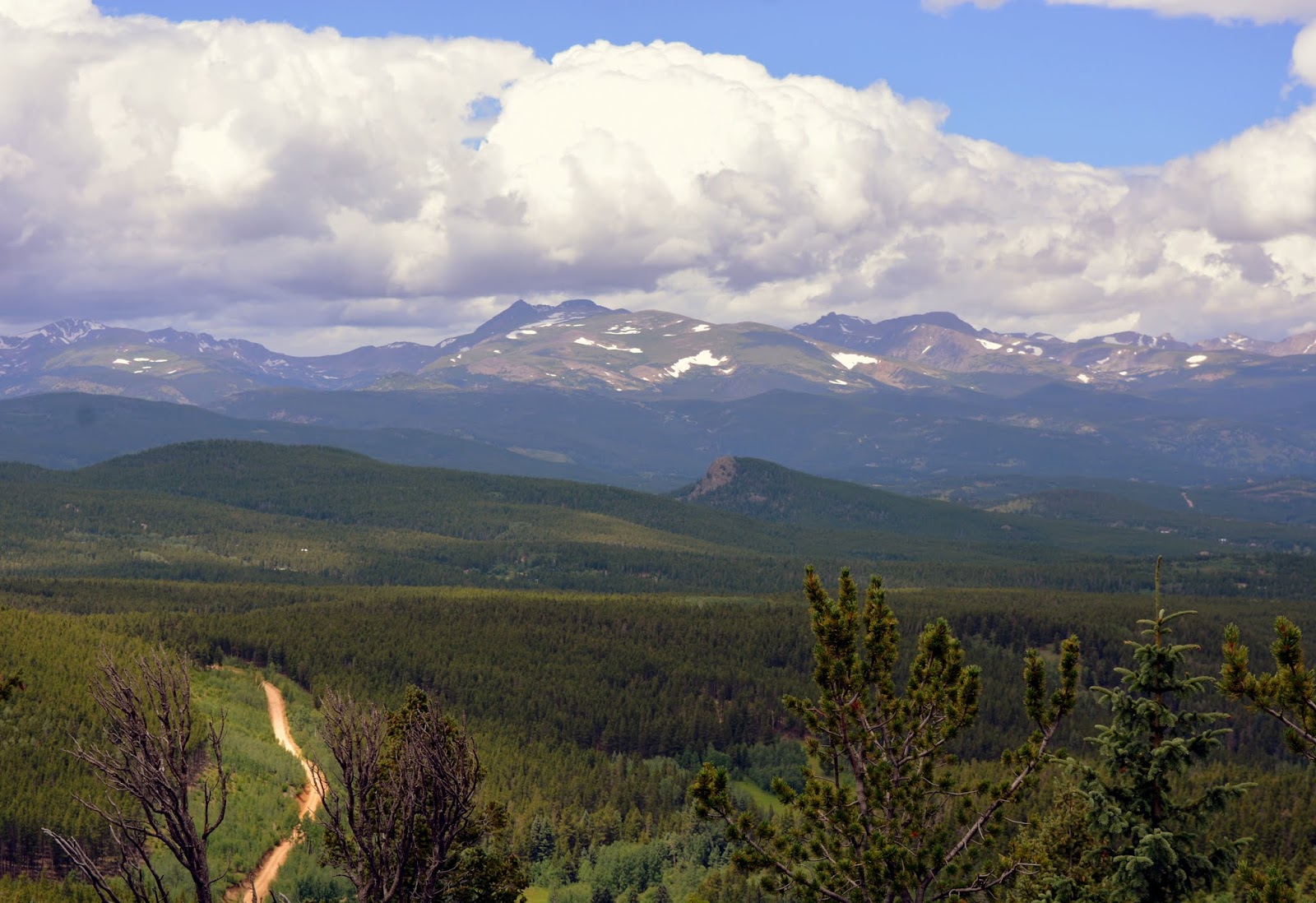 Mille Fiori Favoriti Golden Gate Canyon State Park