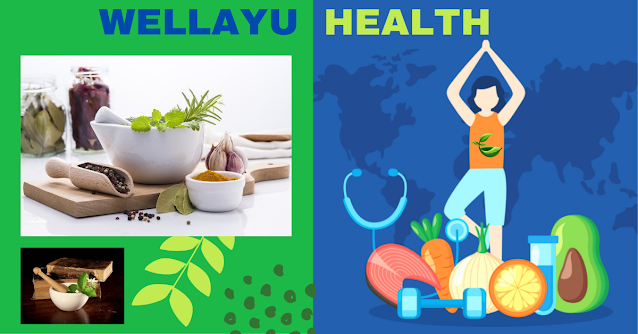 WELLAYU - HEALTH  ll  HEALTH AND AYURVEDA