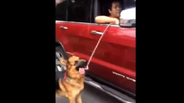 Hombre es captado arrastrando a su perro desde su camioneta 