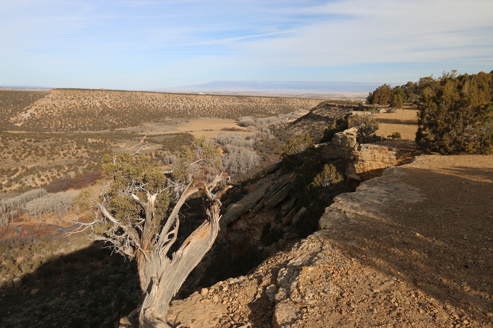Buzzard Gulch Trails (9)