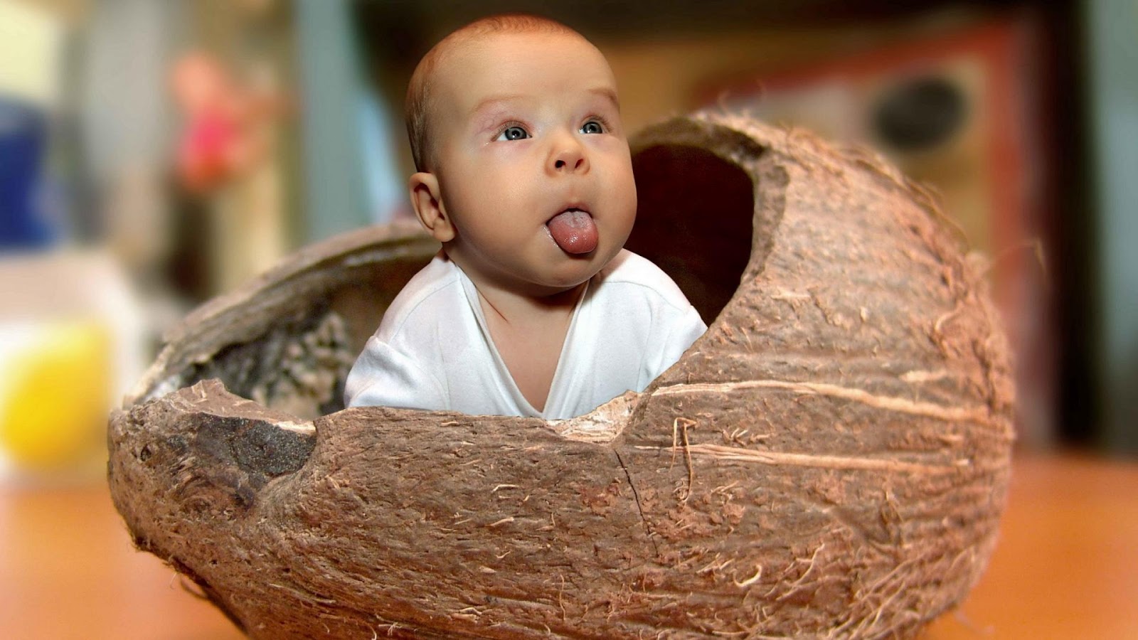 Funny+Baby+in+Cocunut+Shell+Funny+Kids+P