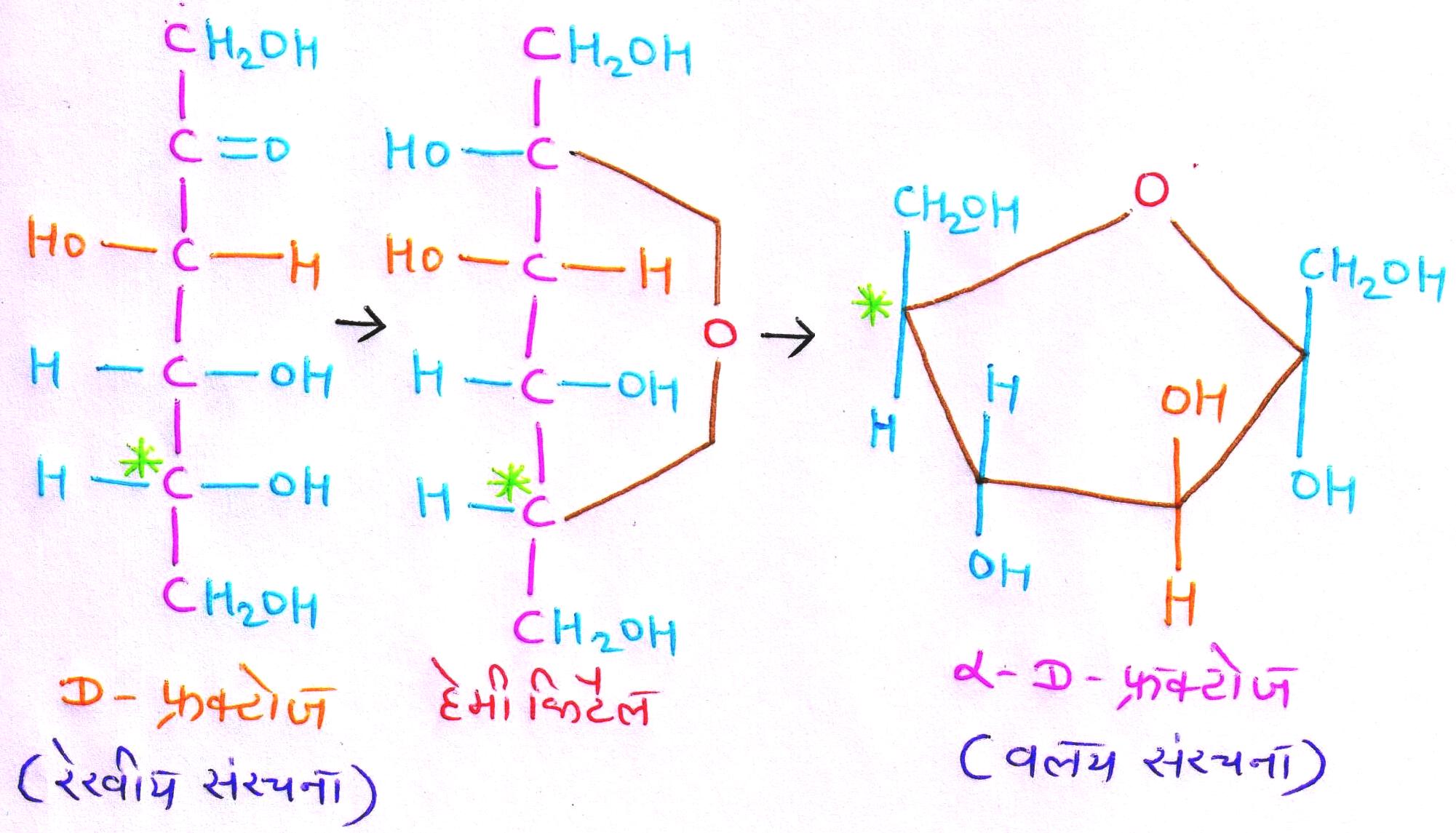 Carbohydrates (article) | Chemistry of life | Khan Academy