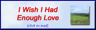 http://mindbodythoughts.blogspot.com/2016/07/i-wish-i-had-enough-love.html