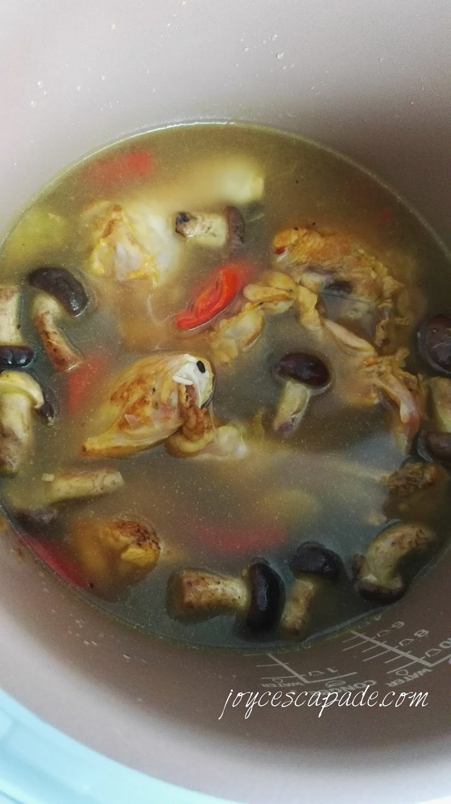 Rice Cooker Chicken and Mushroom Rice Joy 'N' Escapade