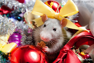 Lovely postcard for the New year mouse and rat 2024. Free, beautiful live Christmas cards in the year of mouse
