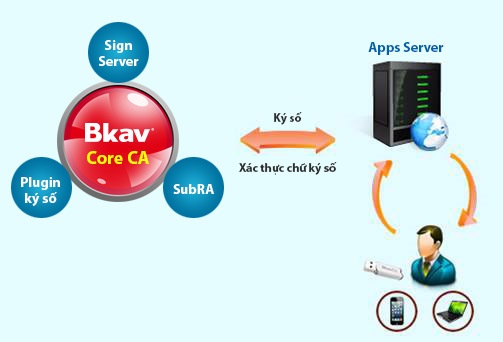 Ngân hàng, chứng khoán, Tổ chức và doanh nghiệp