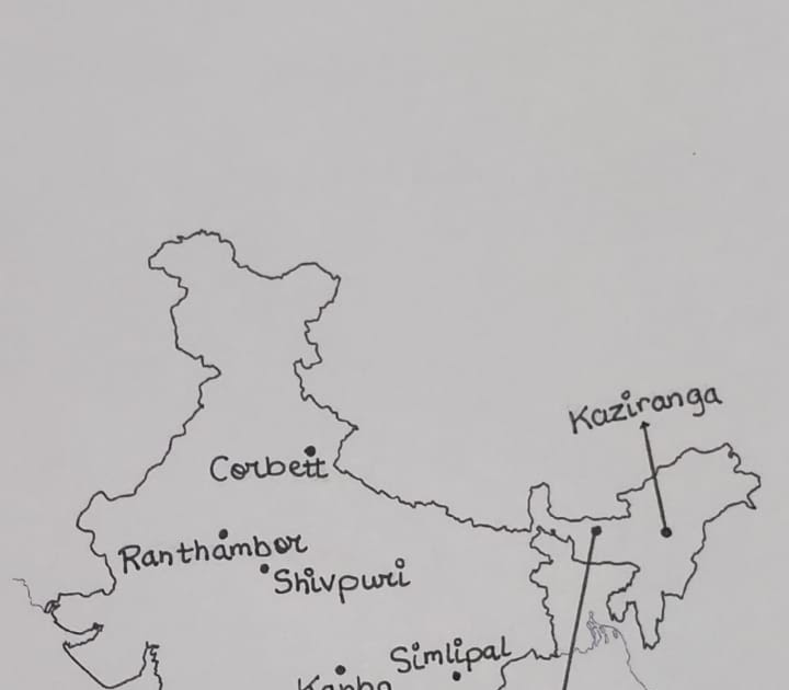 Class 9 NCERT Geography Chapter 5 Natural Vegetation and Wildlife (Map