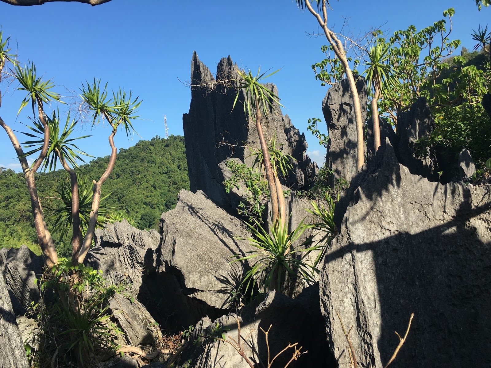 Life Saver Palawan📍Safest Taraw Adventure