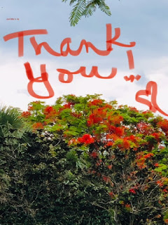 Thank you(rself)