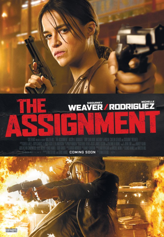the assignment 2016 dual audio 480p download