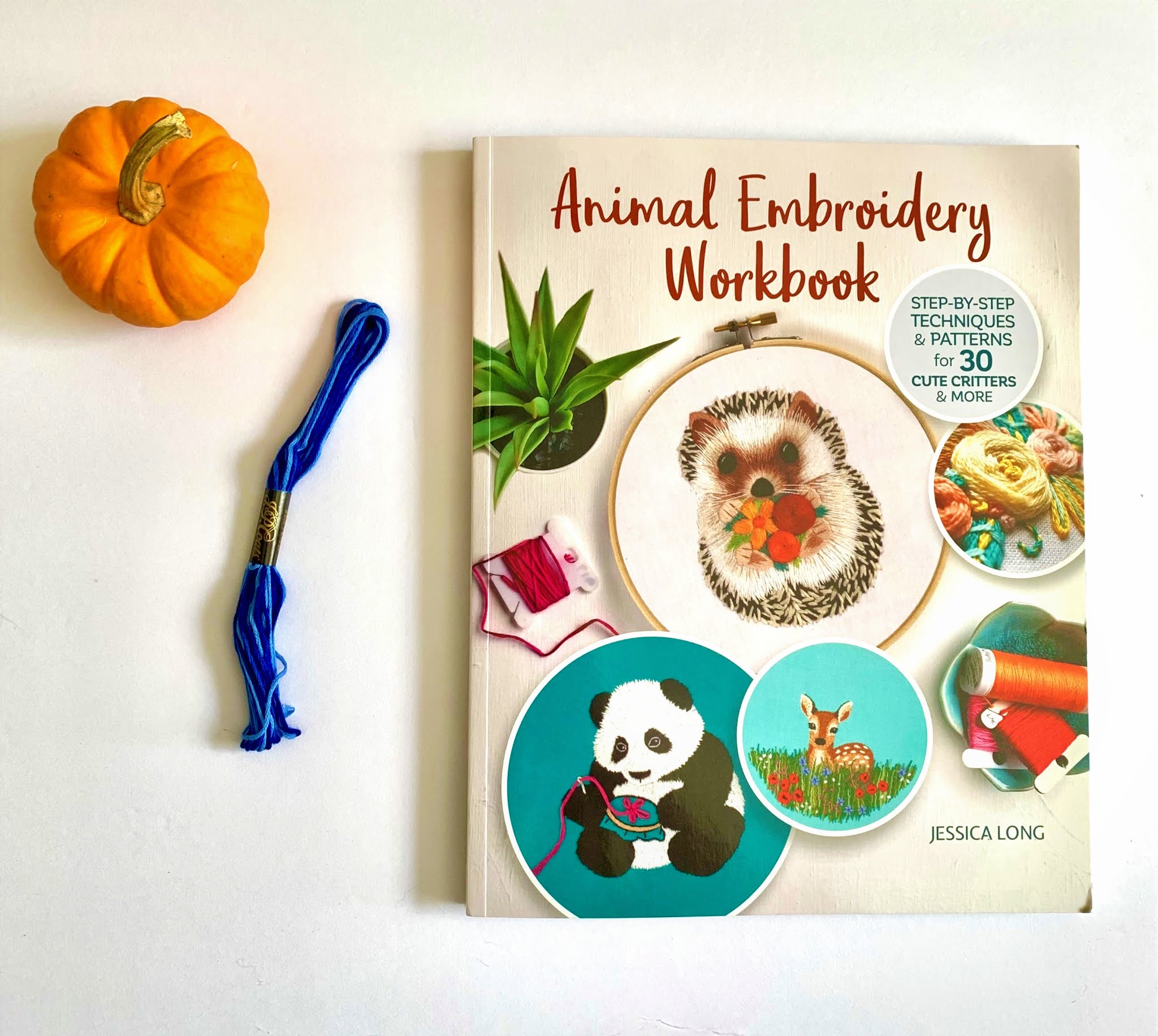 Learn how to Embroidery with Animal Embroidery Workbook & Giveaway My