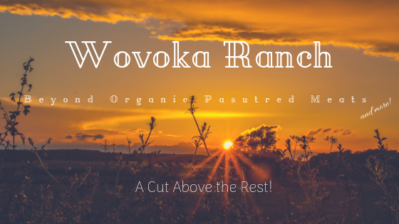 Wovoka Ranch