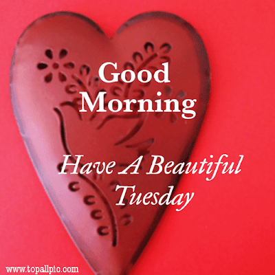 good morning tuesday images good morning tuesday images