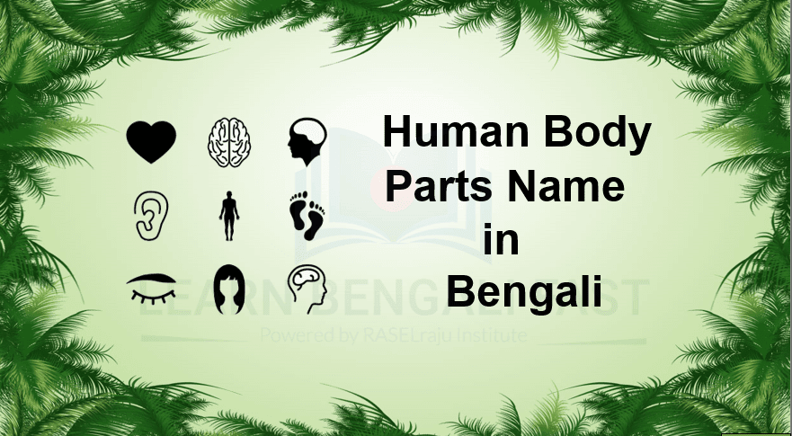 Learn 89 Human Body Parts Name in Bengali ( Including Video & Pictures )