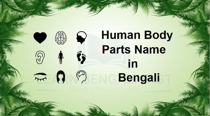 Learn 89 Human Body Parts Name in Bengali ( Including Video & Pictures )