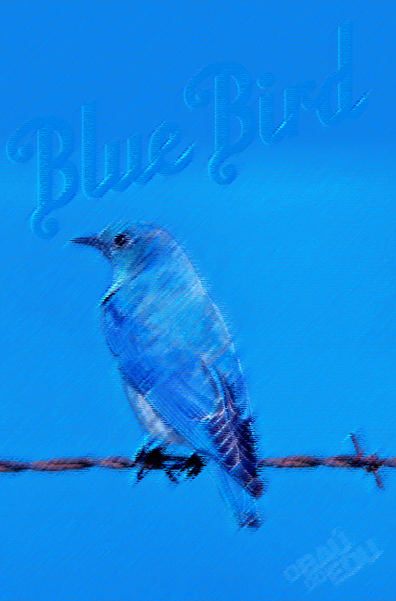 O Baú do Edu: PAUL McCARTNEY & WINGS - BLUEBIRD