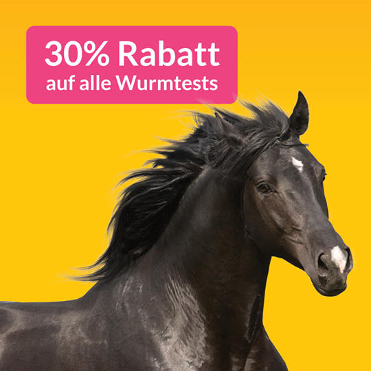 Wurmtest Archive Hund Katze Heimtier Kleintier Haustier