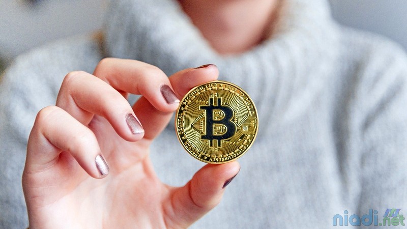 btc împrumut