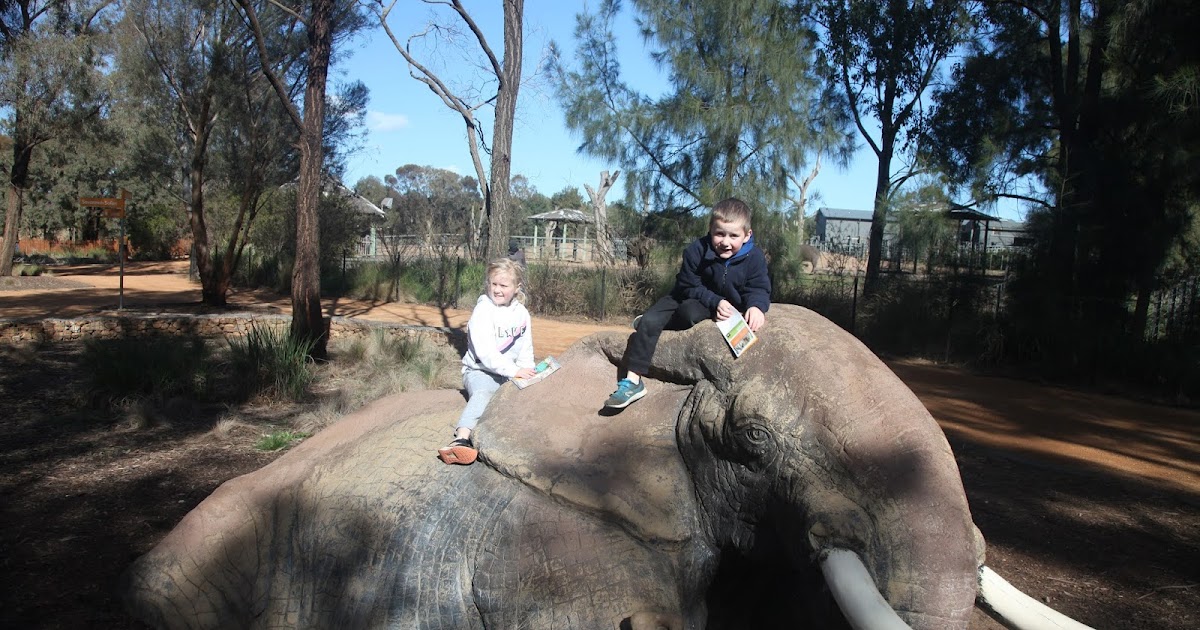 Tom and Cindy's Adventures Dubbo Zoo to the Dono's