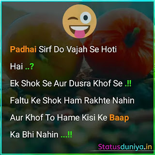 Funny Study Status In Hindi For Whatsapp With Image