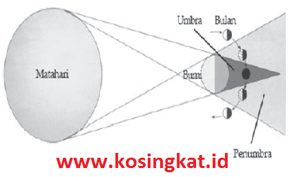 Kunci Jawaban IPA Kelas 7 Halaman 167, 168 Uji Kompetensi 6 - KoSingkat