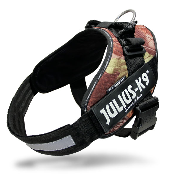 Just dog proof ? or Samoyed proof Harnesses Samoyed proof?