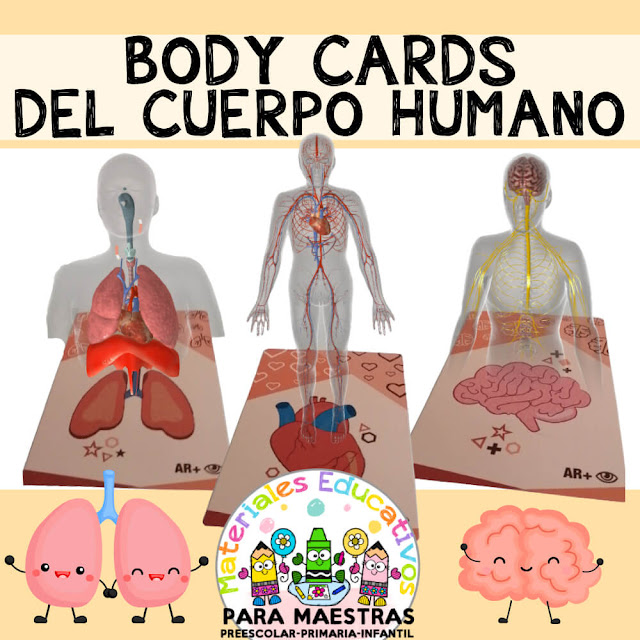 body-cards-tarjetas-aprender-cuerpo-humano