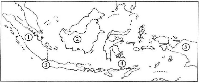Soal Un Fauna Indonesia Terlengkap