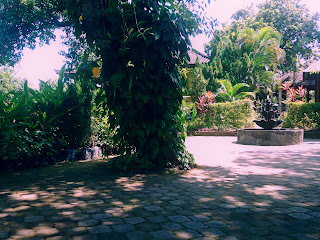 Big Tree In The Garden Around The Dormitory Of Brahmavihara Arama Buleleng North Bali