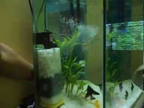 Gambar Filter Aquarium Air Tawar Yang Baik Internal