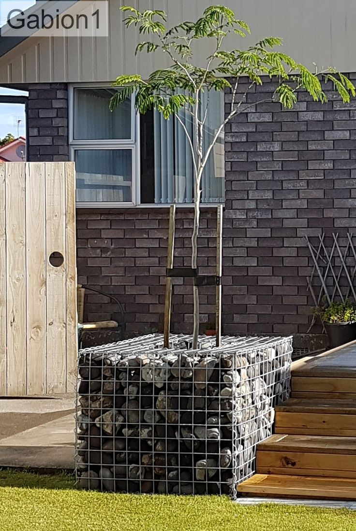 modern gabion planters