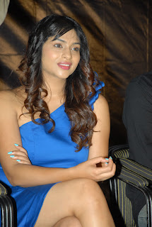 Shivani Movie Logo Launch Pics [Andhrula Music]