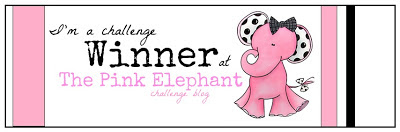 The Pink Elephant challenge winner